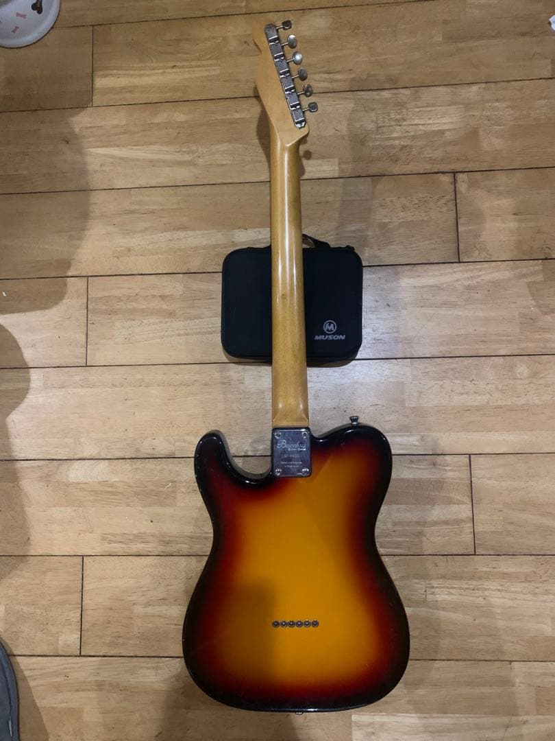 ハ*キ様 バッカス テレキャスター シンライン