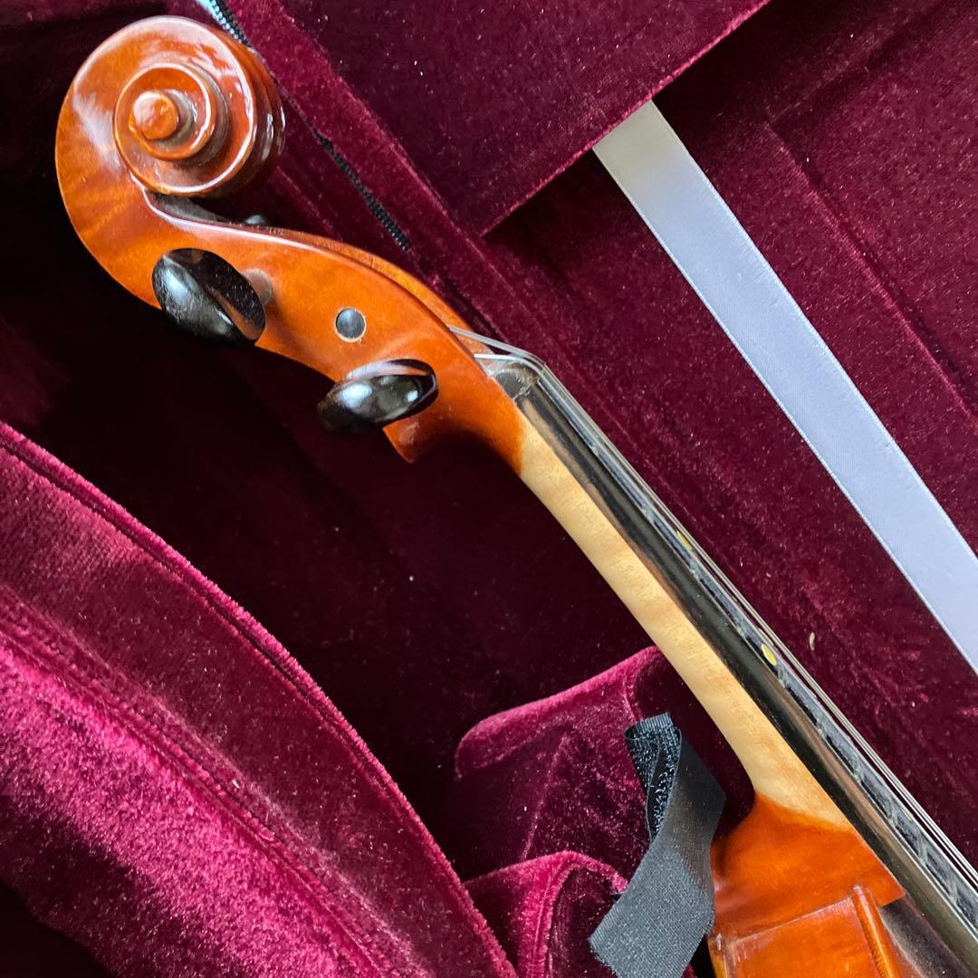 カルロジョルダーノ VS-3　フレット バイオリン4/4 虎目一枚板 一式セット