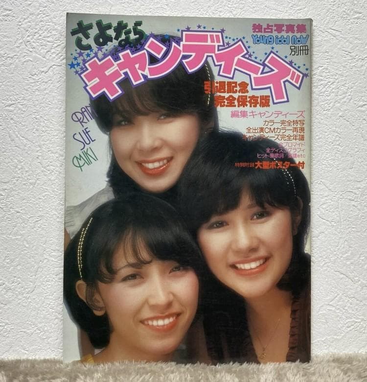 ☆☆当時物【キャンディーズ】お宝グッズ まとめ売り トレーナー/写真集/バッジ他