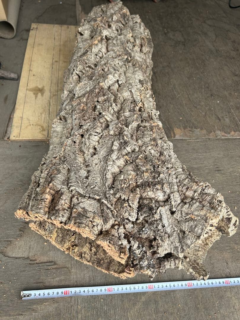 ポルトガル産コルク樹皮 ＰＬ-1002-103Ｌ