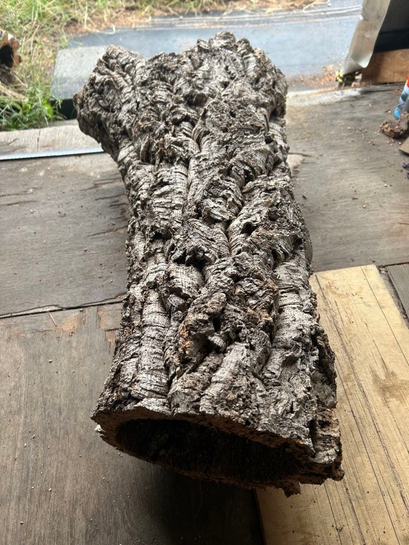 ポルトガル産コルク樹皮 ＰＬ-1002-103Ｌ