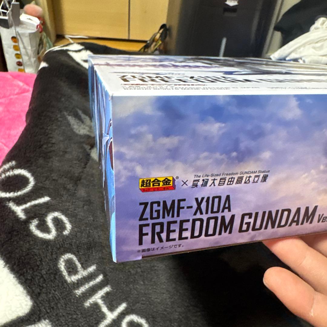 コミック・アニメ ZGMF-X10A FREEDOM GUNDAM Ver.GCP
