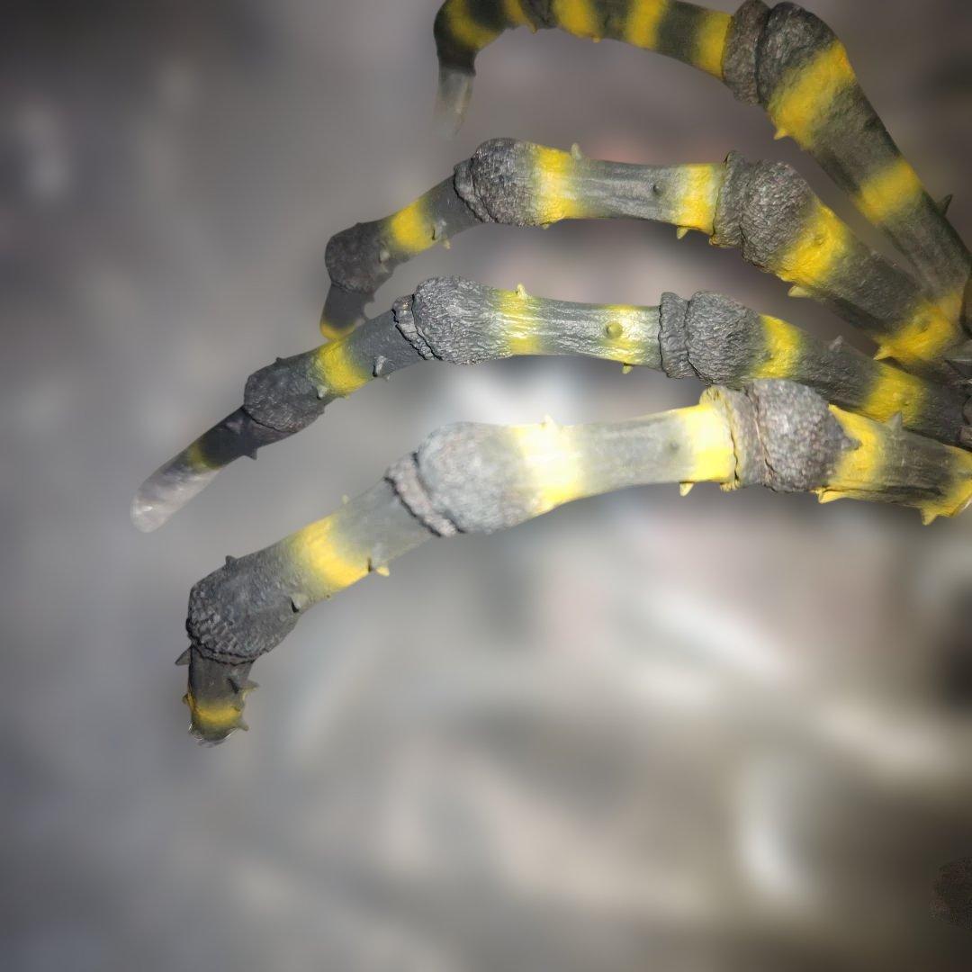 東宝大怪獣シリーズ　クモンガ　少年リック限定版　カマキラス台座付属　フィギュア