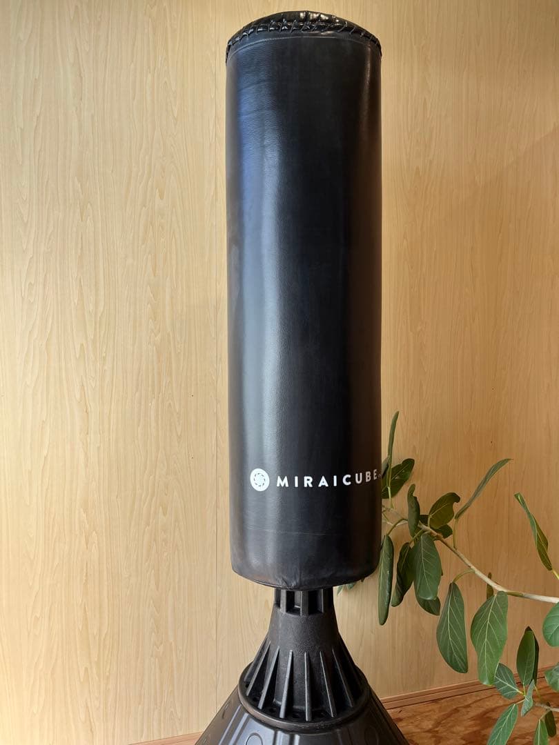 新品✨サンドバッグ✨ボクシング✨自宅用✨自立型✨グローブ付き✨ブラック