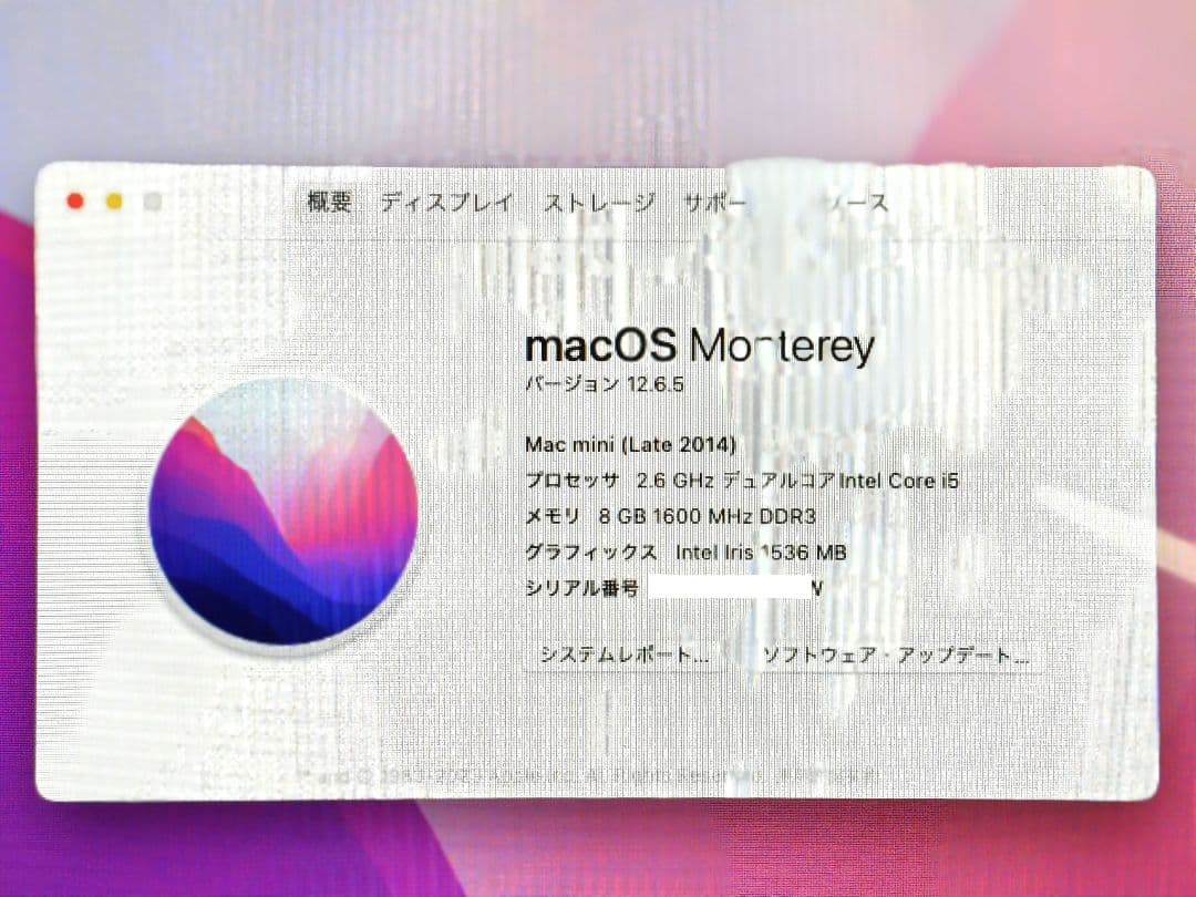 送料込みMacデビューにMacmini Late2014 HDD1TB搭載