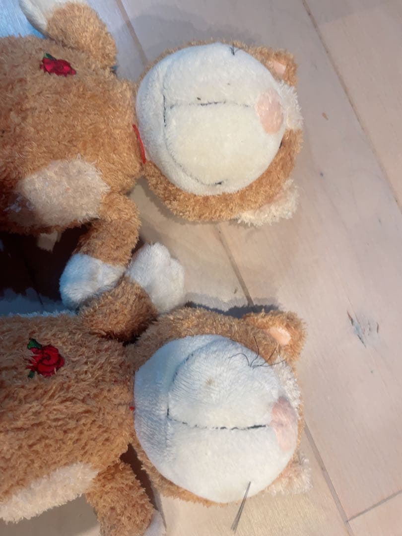 NICI レアのオレンジ猫のぬいぐるみ2体セット25センチ《生産終了》