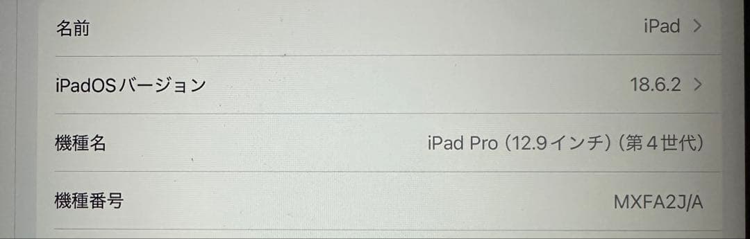 iPad Pro 12.9インチ 第4世代 1TB セルラー 中古