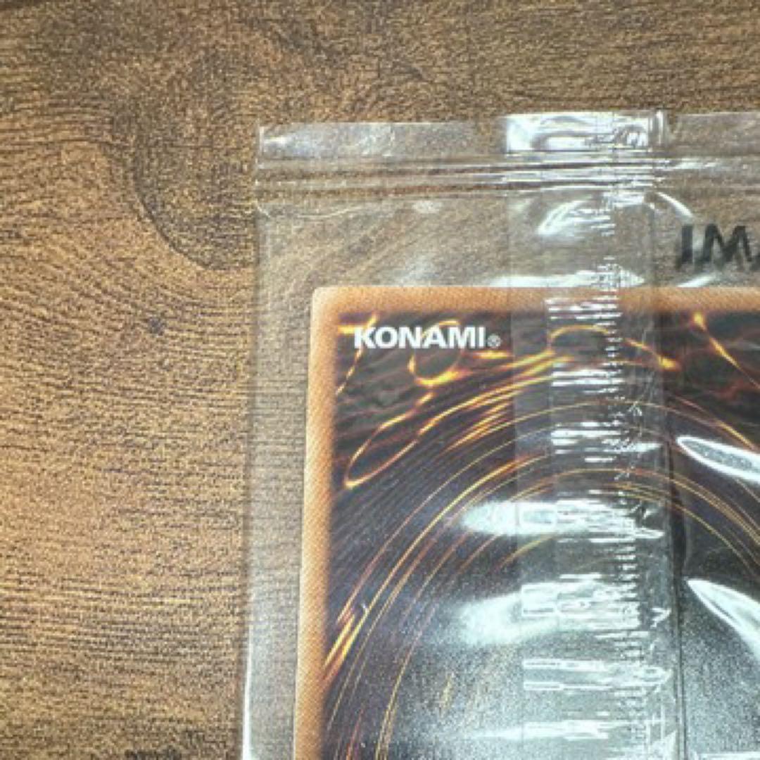 真紅眼の黒竜 遊戯王 ナイキ エアーマックス 95レッドアイズ・ブラックドラゴン