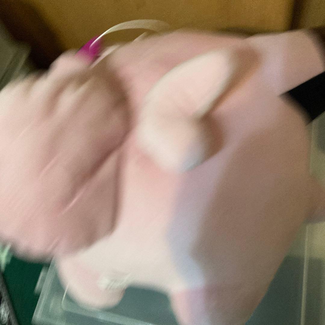 ピッピ　ぬいぐるみ　ポケモン