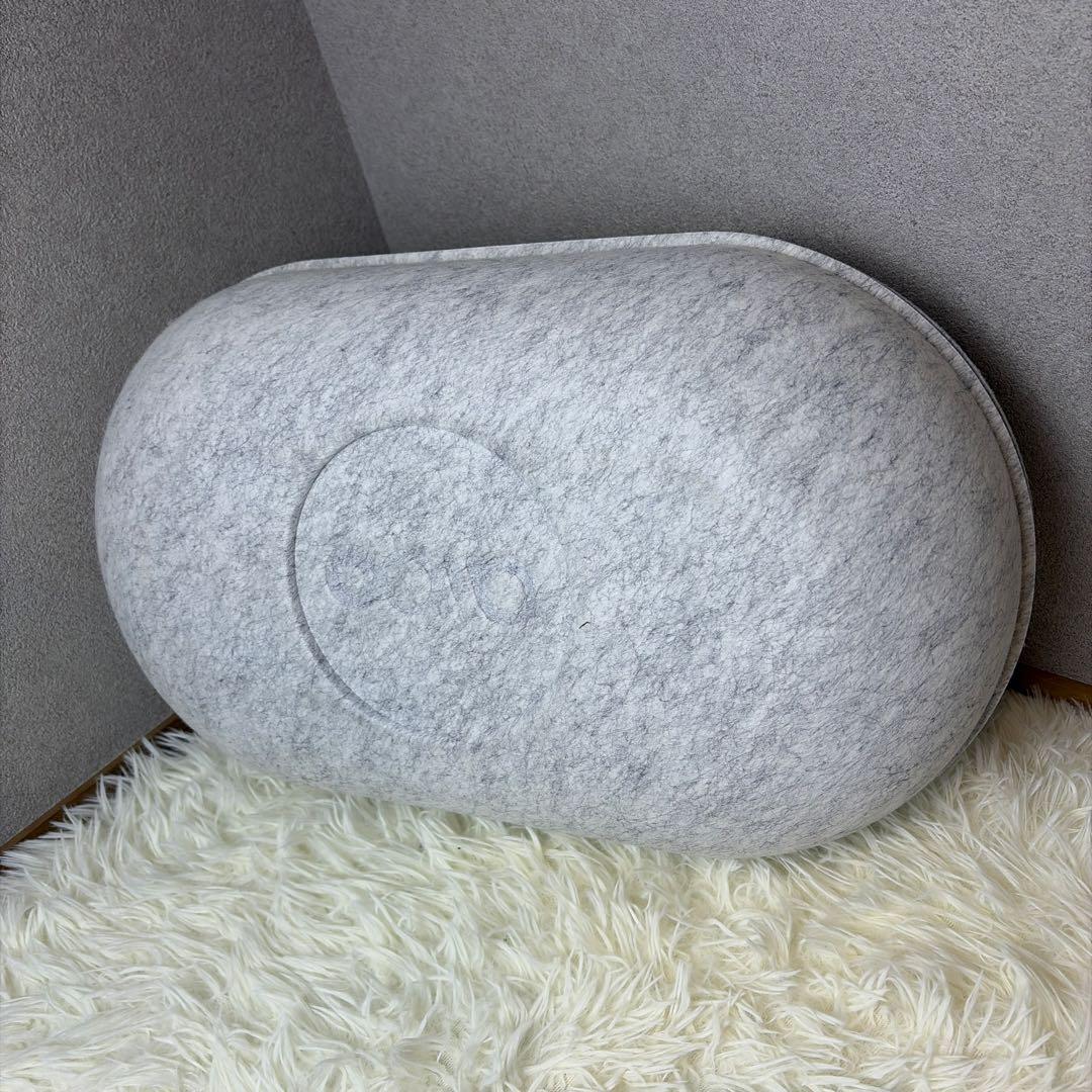 【極美品】SONYアイボ aibo本体★付属品多数付きERS-1000ホワイト