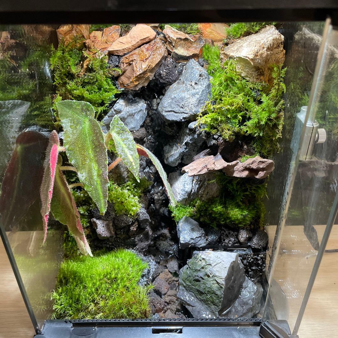 【えみゆき】大きな滝のあるアクアテラリウム