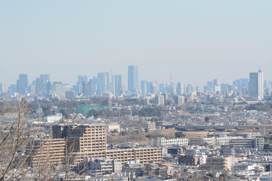 Aya 　TAMRON SP 150-600mm F/5-6.3Di VC