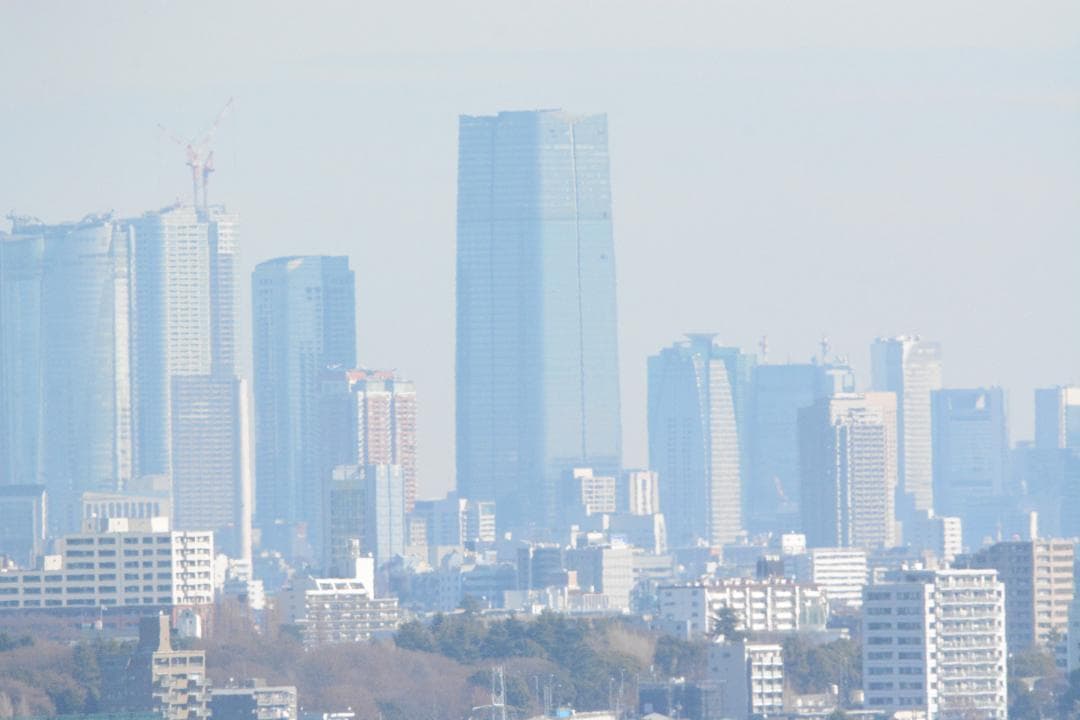 Aya 　TAMRON SP 150-600mm F/5-6.3Di VC