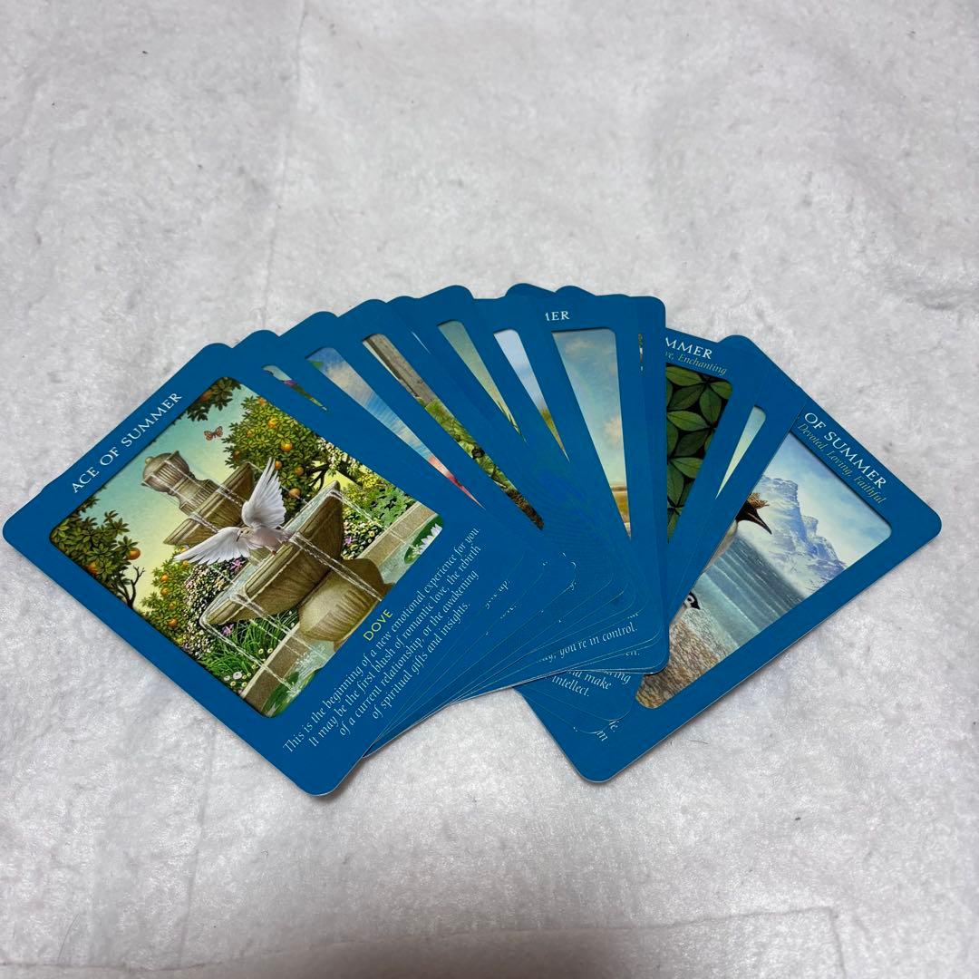 【美品】アニマルタロットカード 日本語版説明書付　ドリーン バーチュー 帯付き