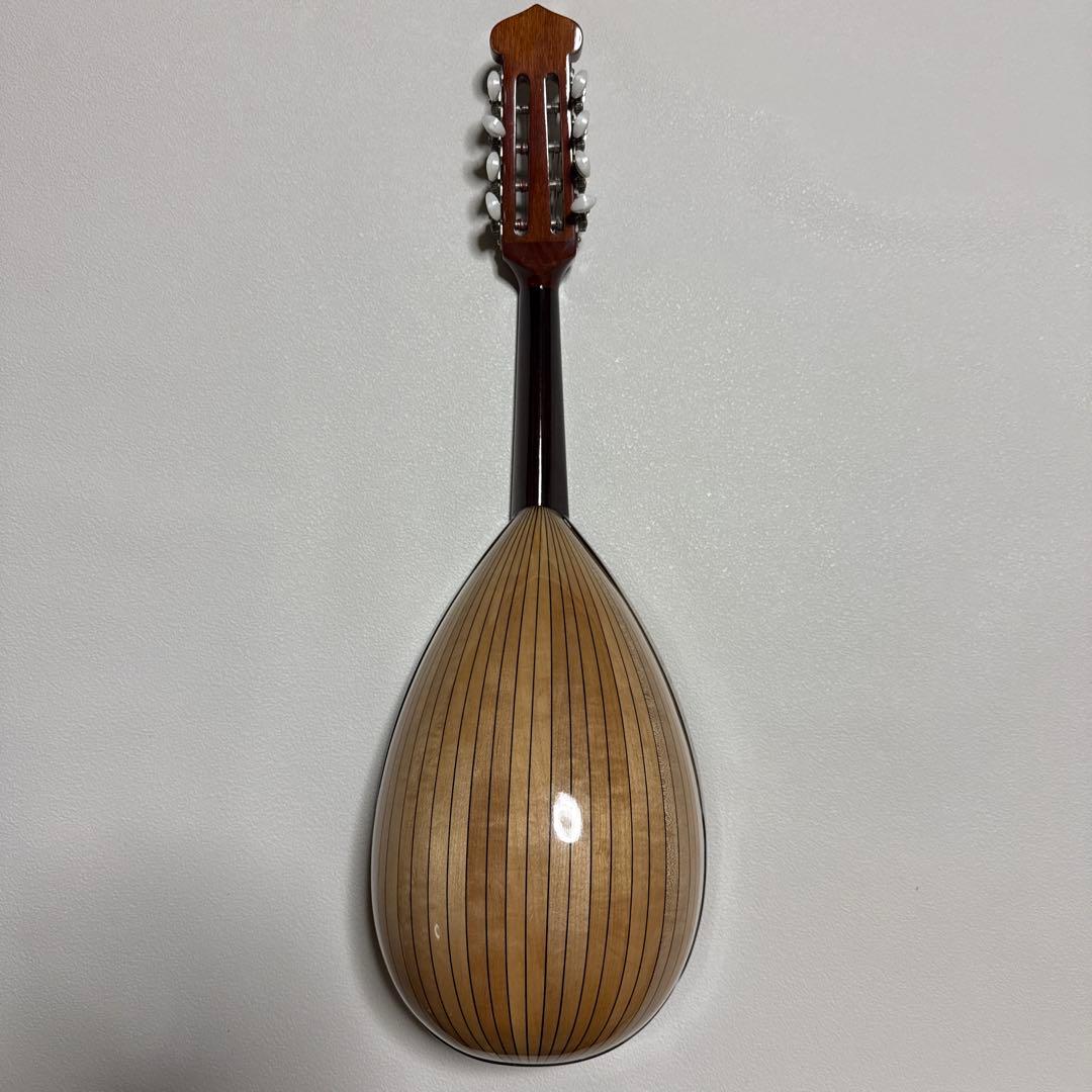 石川捷二郎監修 Venezia マンドリン M-50