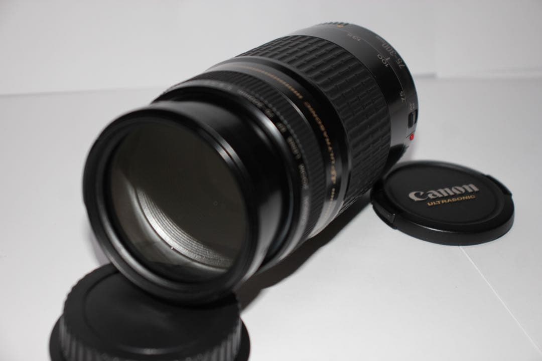 望遠レンズ☆イベントに大活躍☆Canon EF75-300㎜