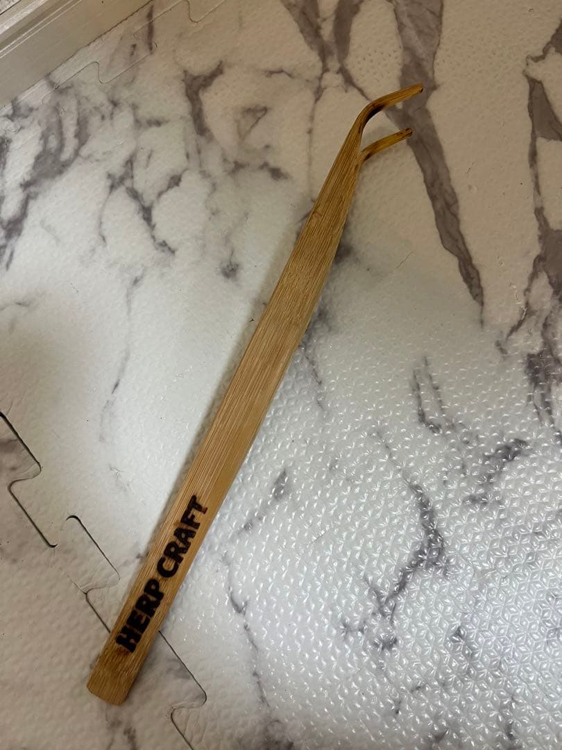 美品 GEX エキゾテラ グラステラリウム 3030 爬虫類 ガラス ケージ