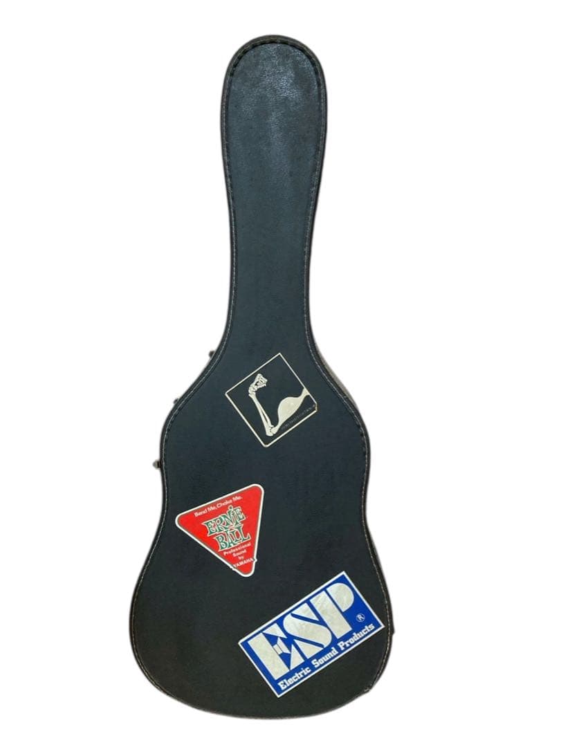 Jagard/ジャガード JD-30S ハミングバードタイプ アコギ