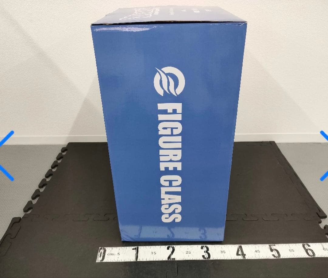 ドラゴンボール ガレージキット 身勝手の極意 FIGURE CLASS