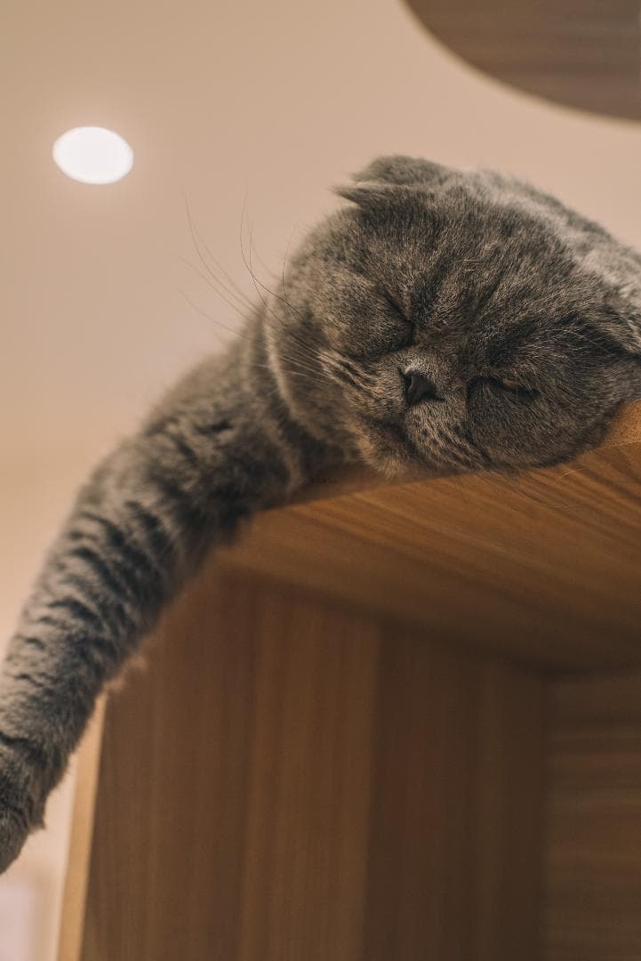 デジタル一眼対応！SMC PENTAX-A 50mm F1.4