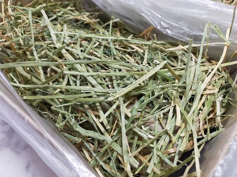 (2/9まで) カナダ産 チモシー 40kg スーパープレミアム １番刈