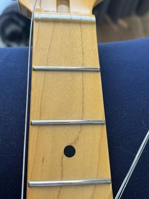 FUJIGEN NTE10M AH /OWB テレキャスター 超美品