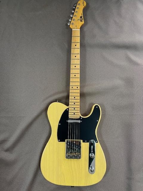 FUJIGEN NTE10M AH /OWB テレキャスター 超美品