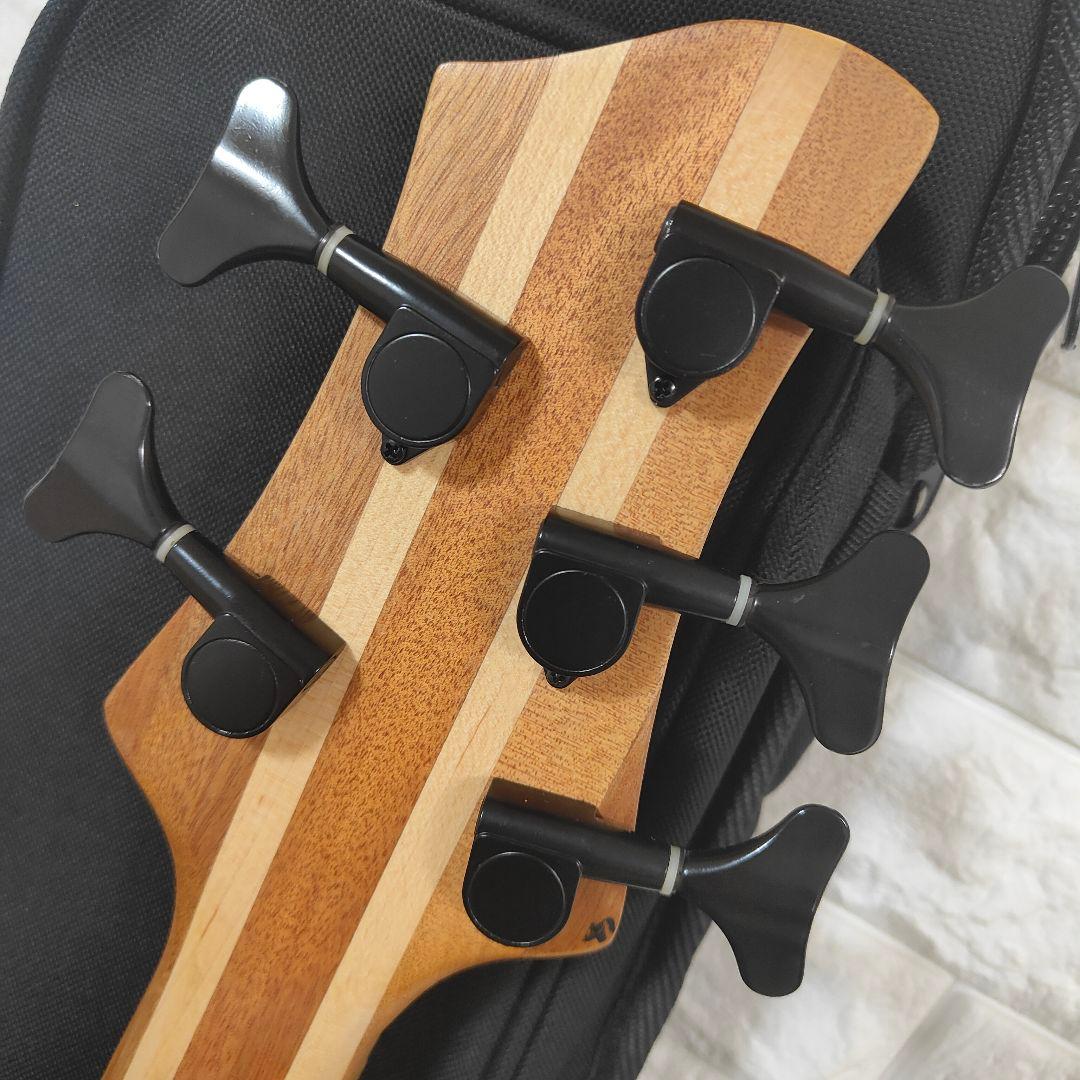 【希少】GIVSON ギブソン 5弦ベース