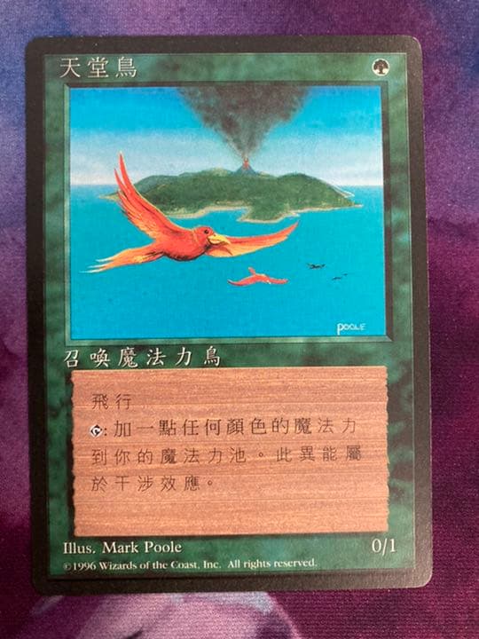 FBB 4th 極楽鳥　中1枚　繁体字　MTG