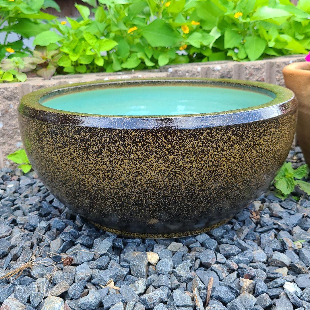 ws2022 信楽焼 メダカ鉢 睡蓮鉢 水鉢 直径３５cm