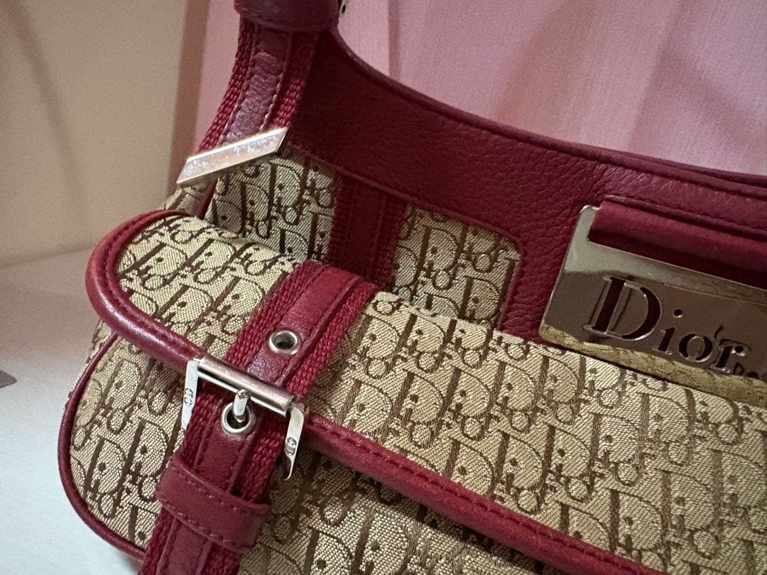 ルイスページ　Dior トロッター ストリートシック　ショルダーバッグ
