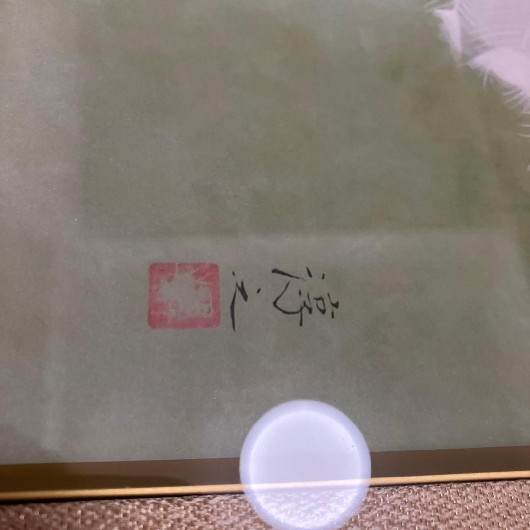 限定 白孔雀 上村淳之 日本画