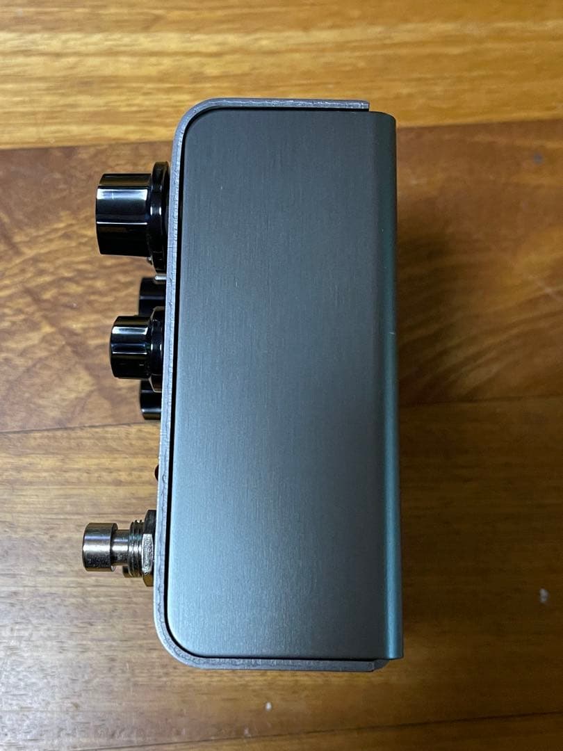 strymon ストライモン / El Capistan dTape Echo