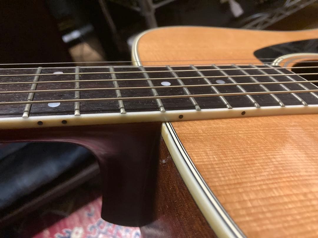 Morris MV-701 アコースティックギター