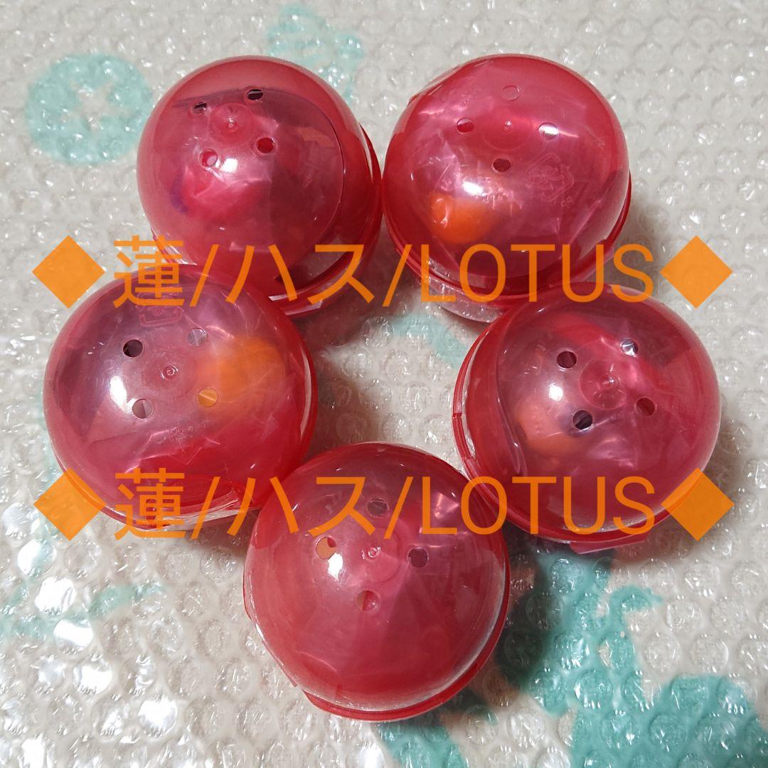 マザーシリーズ(5)