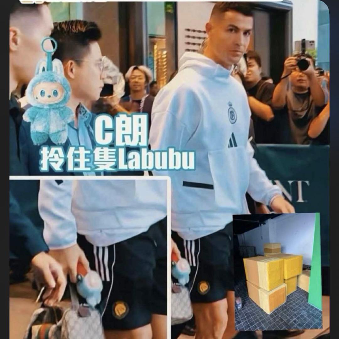 ぬいぐるみ LABUBU THE MONSTERS Big into Energy 2BOX