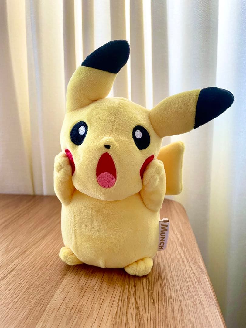 ピカチュウ ぬいぐるみ ムンク