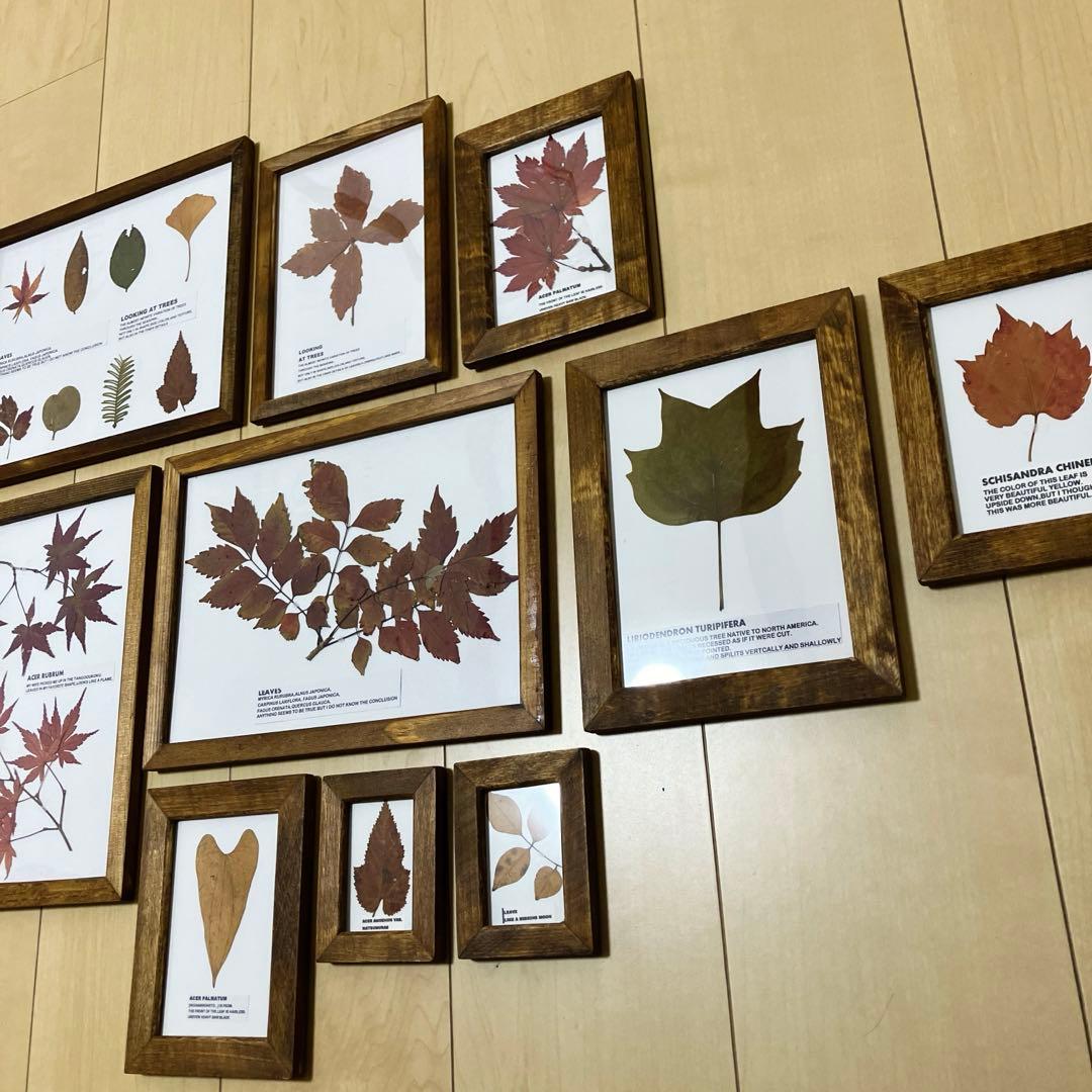 トラックファニチャー TRUCKFUNITURE truckfuniture 風