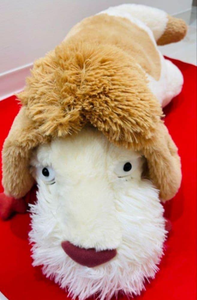 【新品タグ付き】ジブリパーク購入　ハウルの動く城　ヒン　ぬいぐるみ　1体