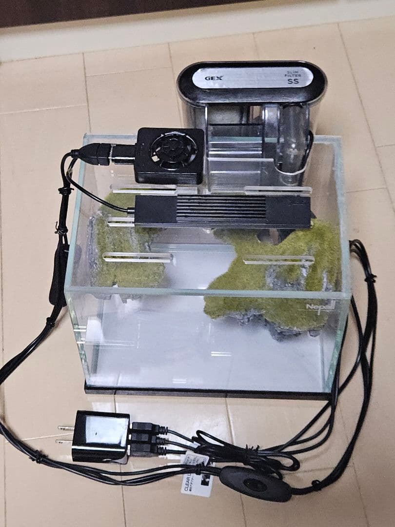 小型ガラス水槽 GEX SSフィルター付き　天空の島　フルセット