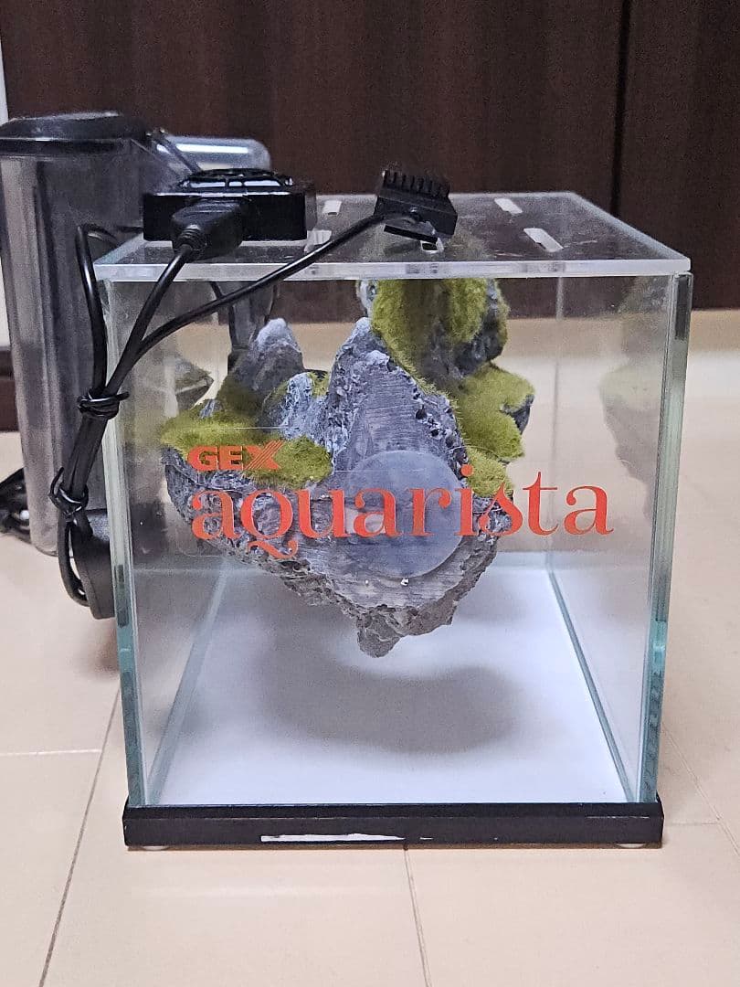 小型ガラス水槽 GEX SSフィルター付き　天空の島　フルセット