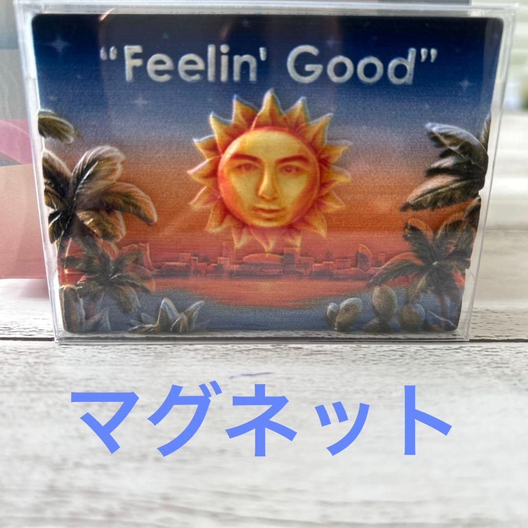 藤井風Feelin' Good Windy ウィンディちゃんとマグネット
