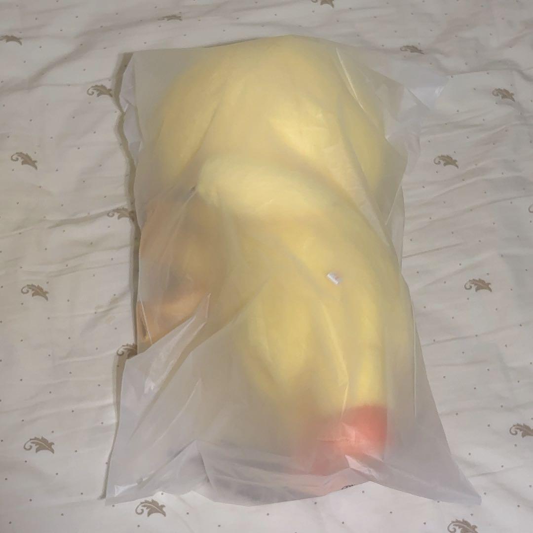 Straykids フィリックス ポガリ celebrate バッグ 新品未開封