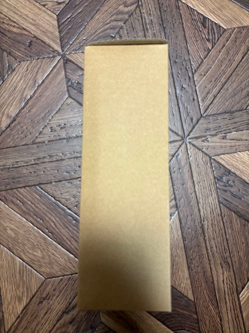 S.H.Figuarts（真骨彫製法） 仮面ライダーウィザード フレイムドラゴン