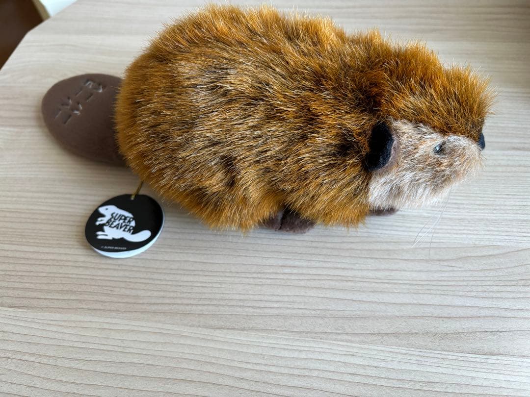 スーパービーバーちゃん