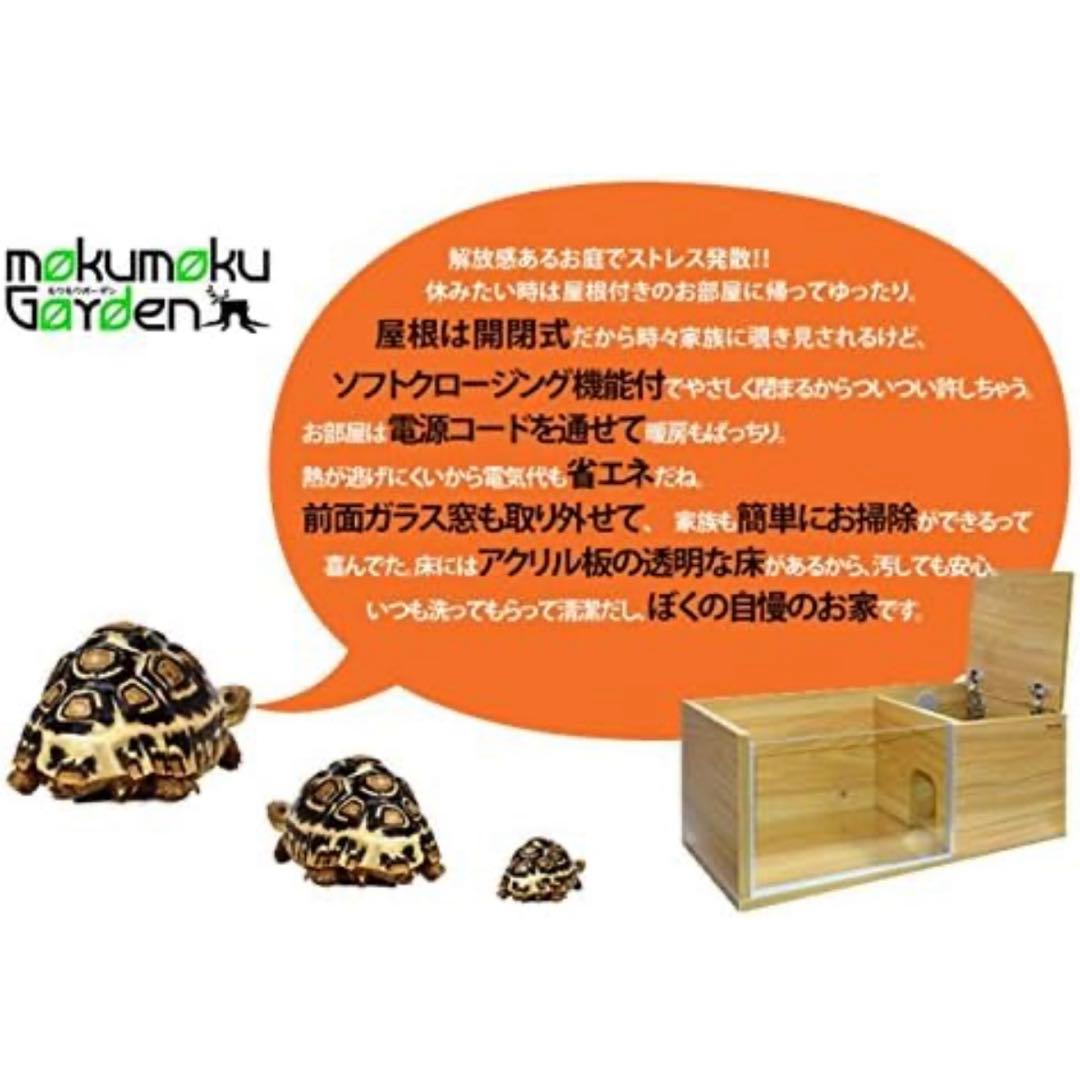 爬虫類　ケージ　モクモク　ガーデン　木製60×30