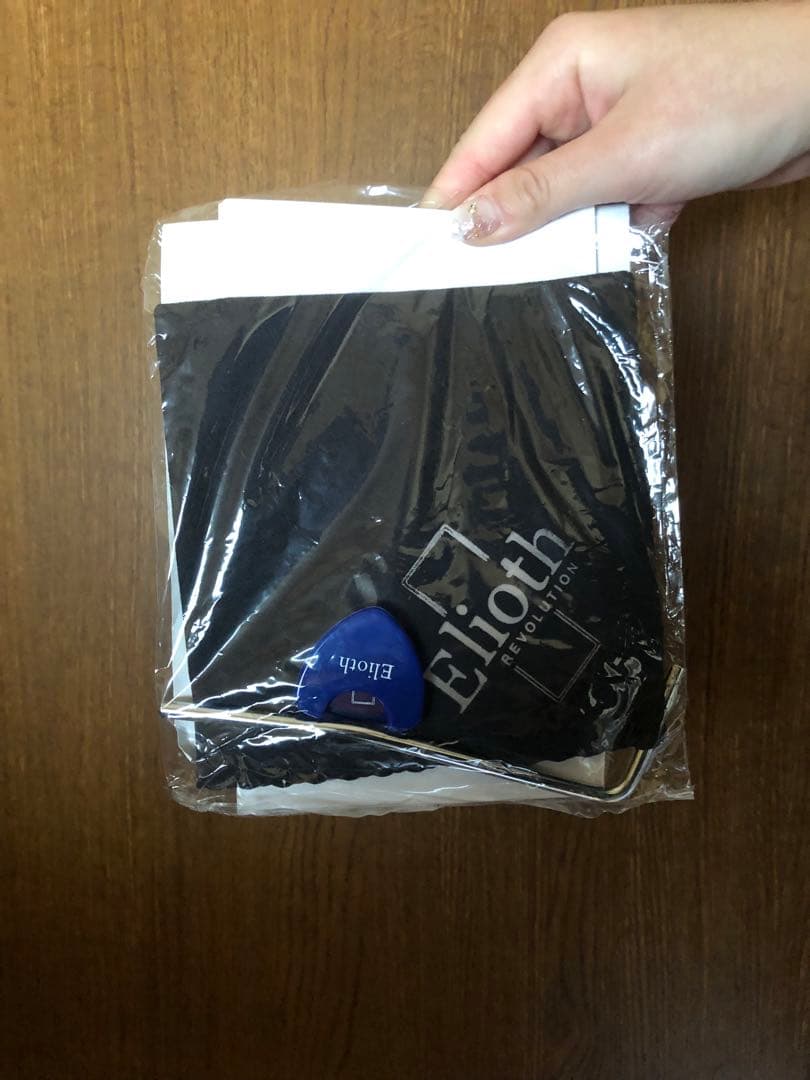 エレキギター(ケース、説明書付き)