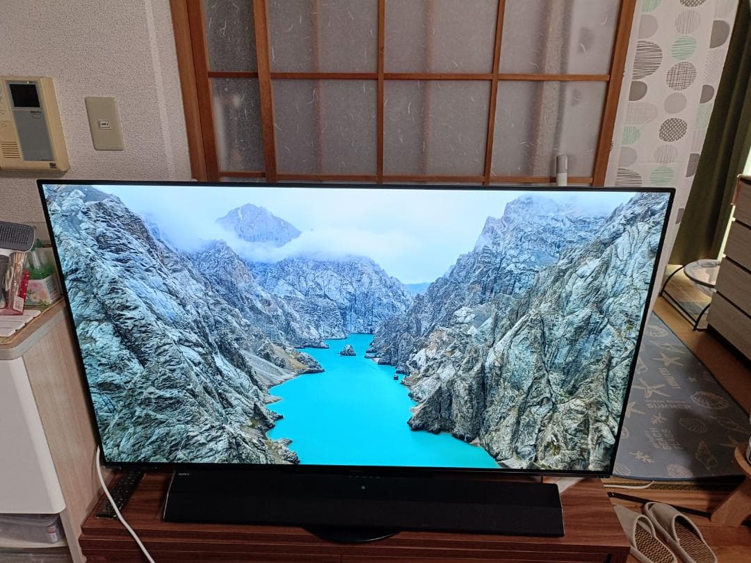 パナソニック ビエラ 有機EL 4K TH-55HZ1000 2020年 保証付