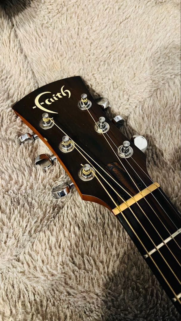 Faith エレアコ/FS3EB