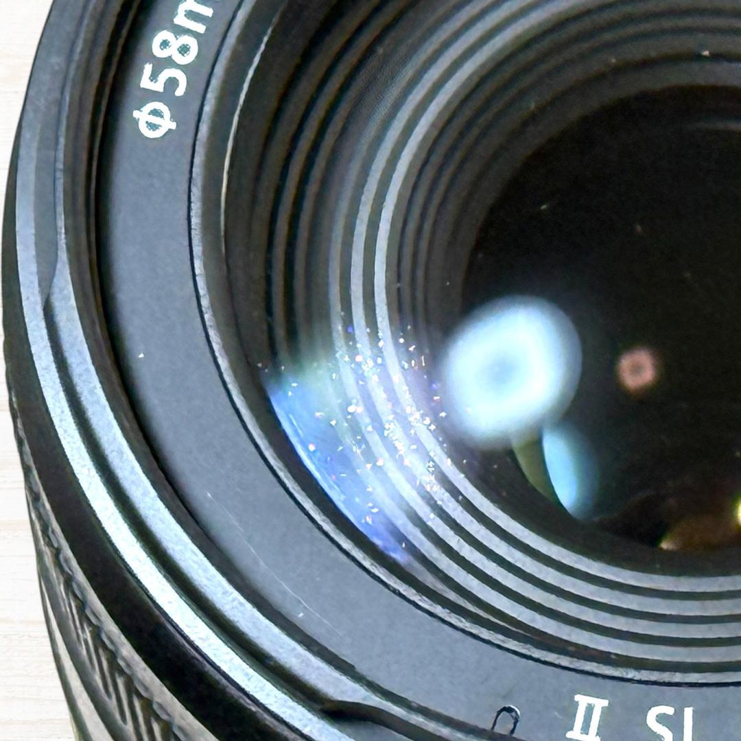 Canon ズームレンズ EF-S 55-250mm IS Ⅱ #143